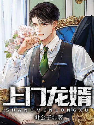 顶尖大少在都市叶公子